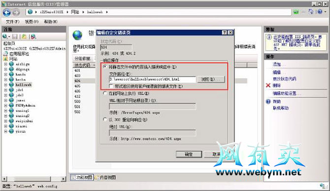 IIS设置404
