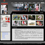 ASP品牌店加盟网站源码