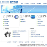 ASP软件外包网站源码