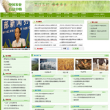 地方农业局网站源码
