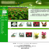 ASP苗圃园企业网站源码