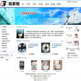 ASP中英文照明网站源码