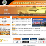 ASP投资咨询公司网站源码