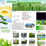 ASP绿色种业科技公司网站源码