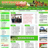 ASP畜牧兽医网站源码