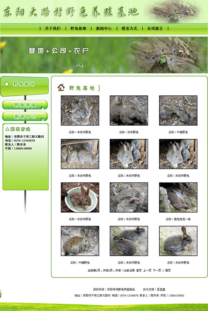 野兔养殖基地网站源程序